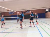 volley (14)